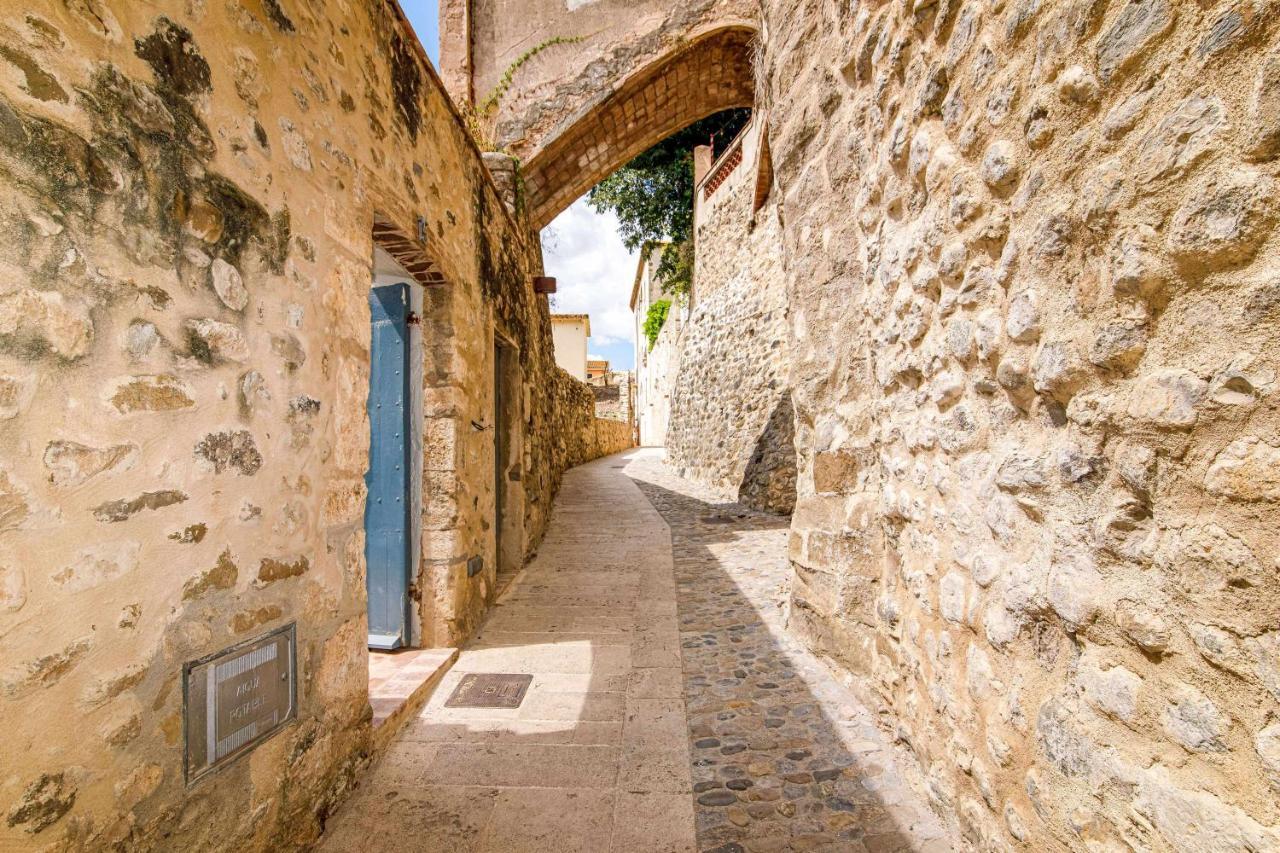 El Molino de Besalú Casa con jardín Exterior foto